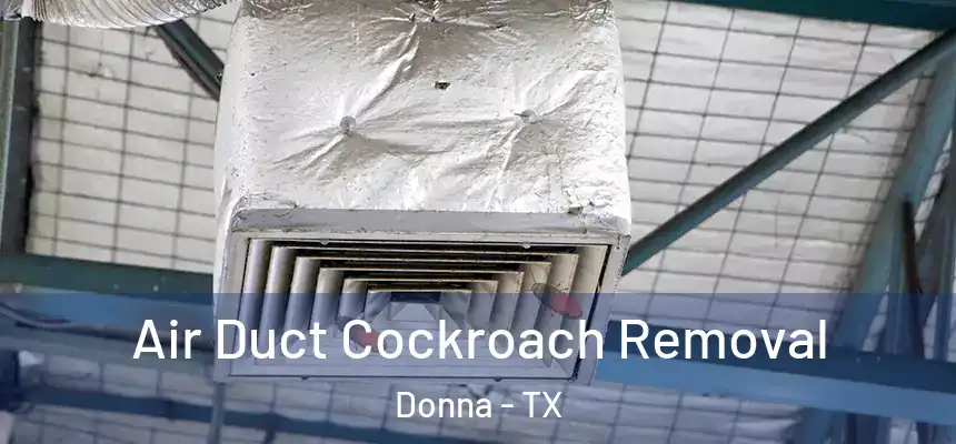 Air Duct Cockroach Removal Donna - TX