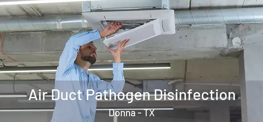 Air Duct Pathogen Disinfection Donna - TX