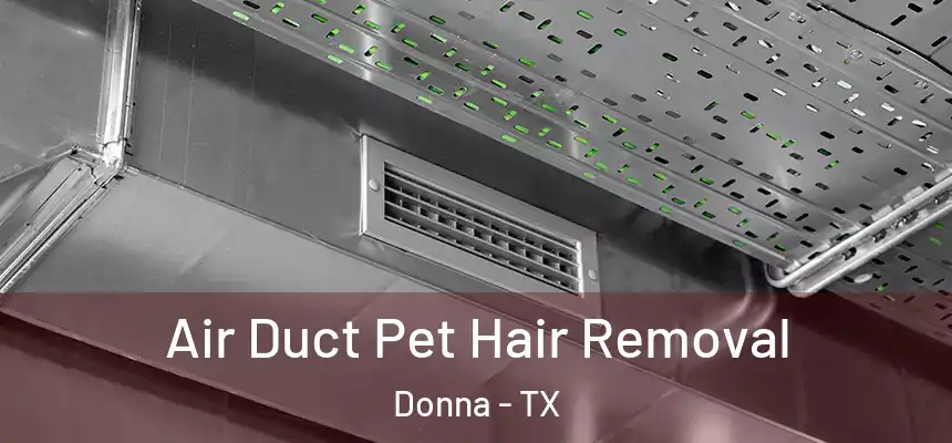  Air Duct Pet Hair Removal Donna - TX