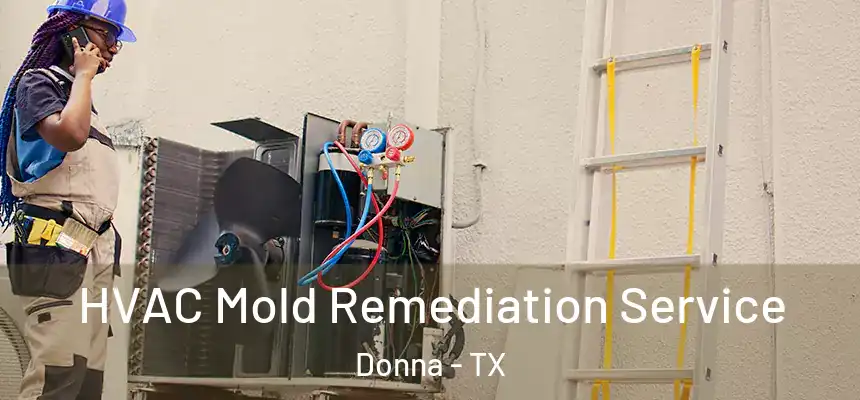 HVAC Mold Remediation Service Donna - TX