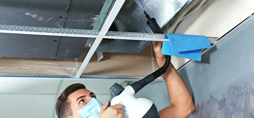 Our Air Duct Rodent Removal Services in Donna, TX