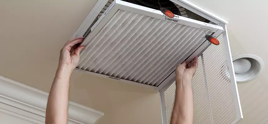 Our Insect Removal from Air Ducts Services in Donna, TX