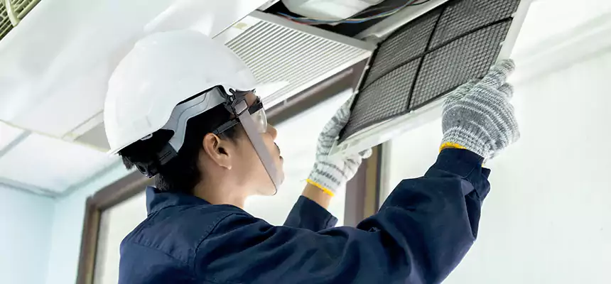 Our Mold & Mildew Removal from Air Ducts Services in Donna, TX