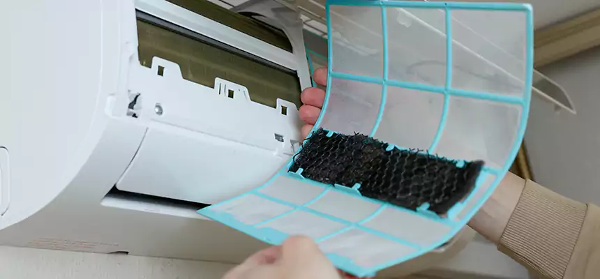 Gentle Ductwork Odor-Control Pet Dander Duct Cleaning in Donna, TX