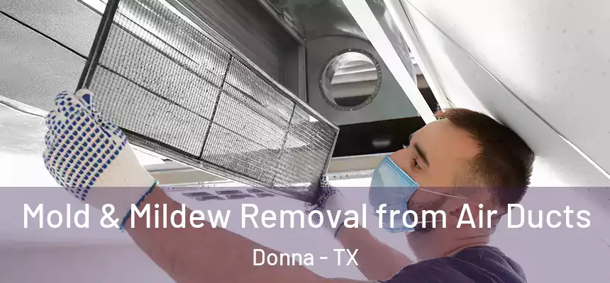Mold & Mildew Removal from Air Ducts Donna - TX