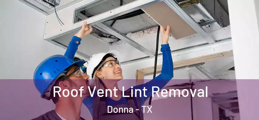Roof Vent Lint Removal Donna - TX