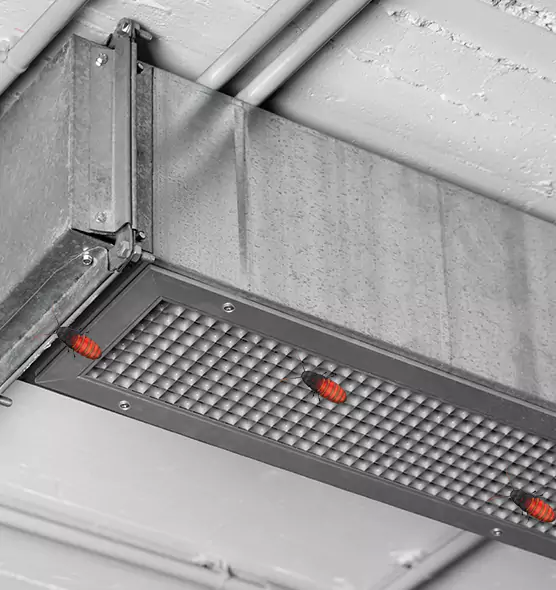About Air Duct Cockroach Removal in Donna, TX