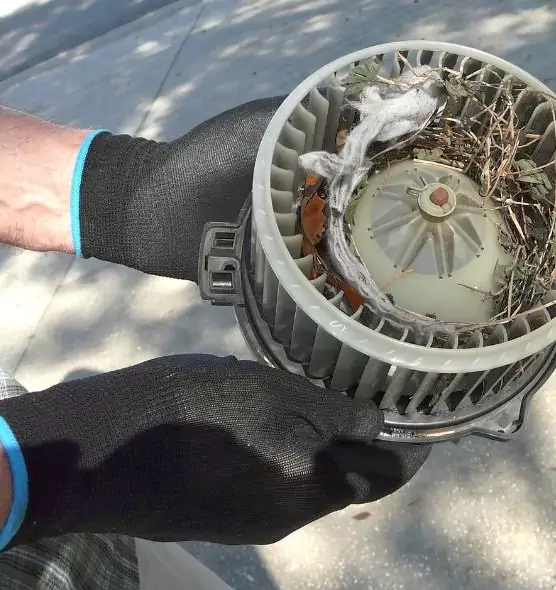 About Air Duct Rat Removal in Donna, TX