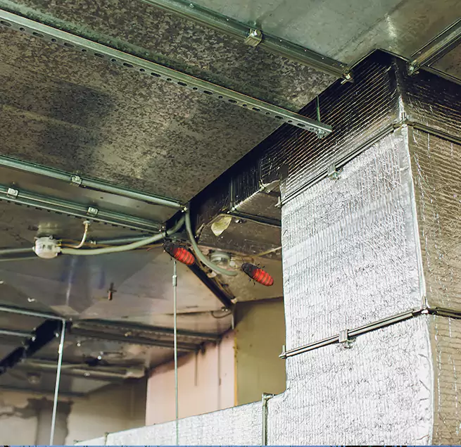 Why Homeowners & Businesses Trust Us in Donna, TX?