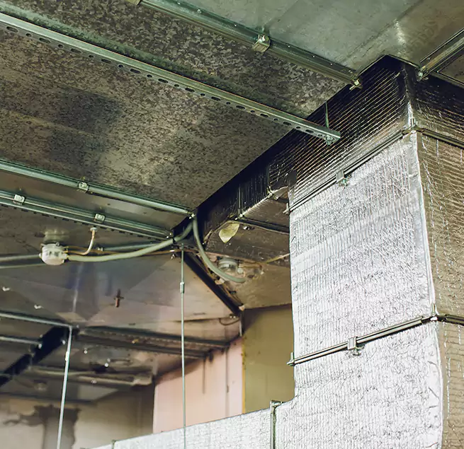 Why Homeowners & Businesses Trust Us in Donna, TX?